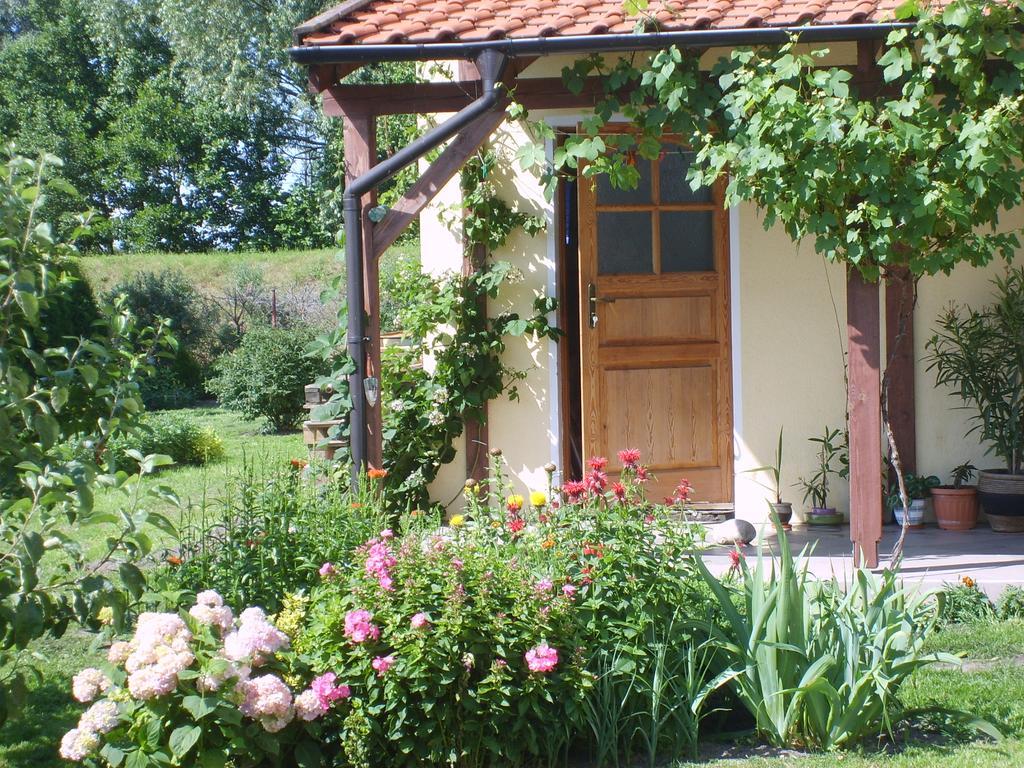 Apartamento Sloneczny Wodnik Braniewo Exterior foto